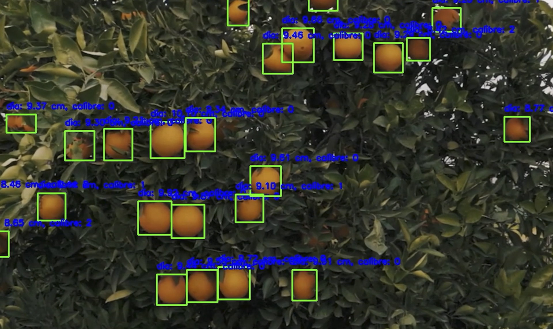 Machine Learning: Object Detection