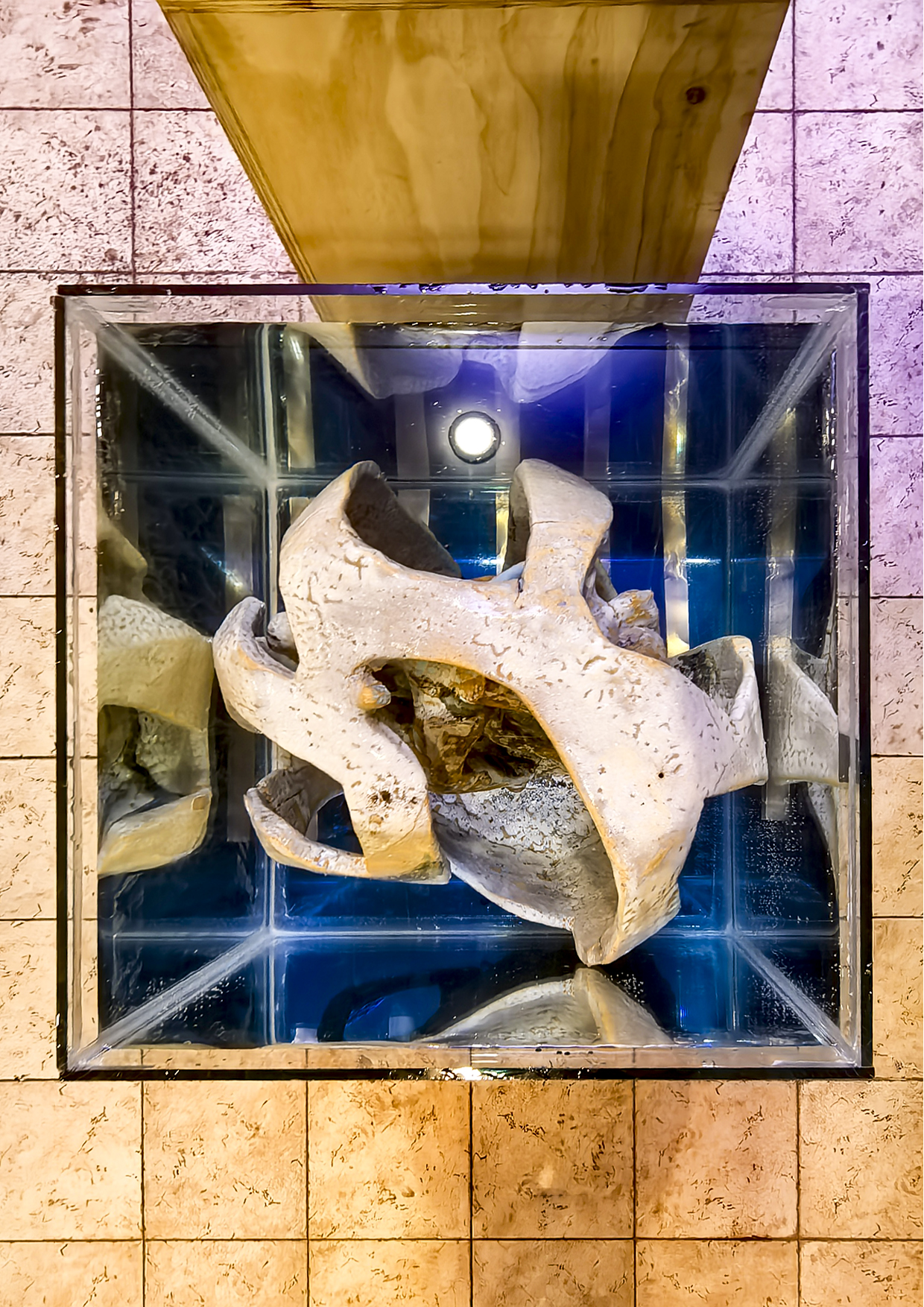 Contención image 1