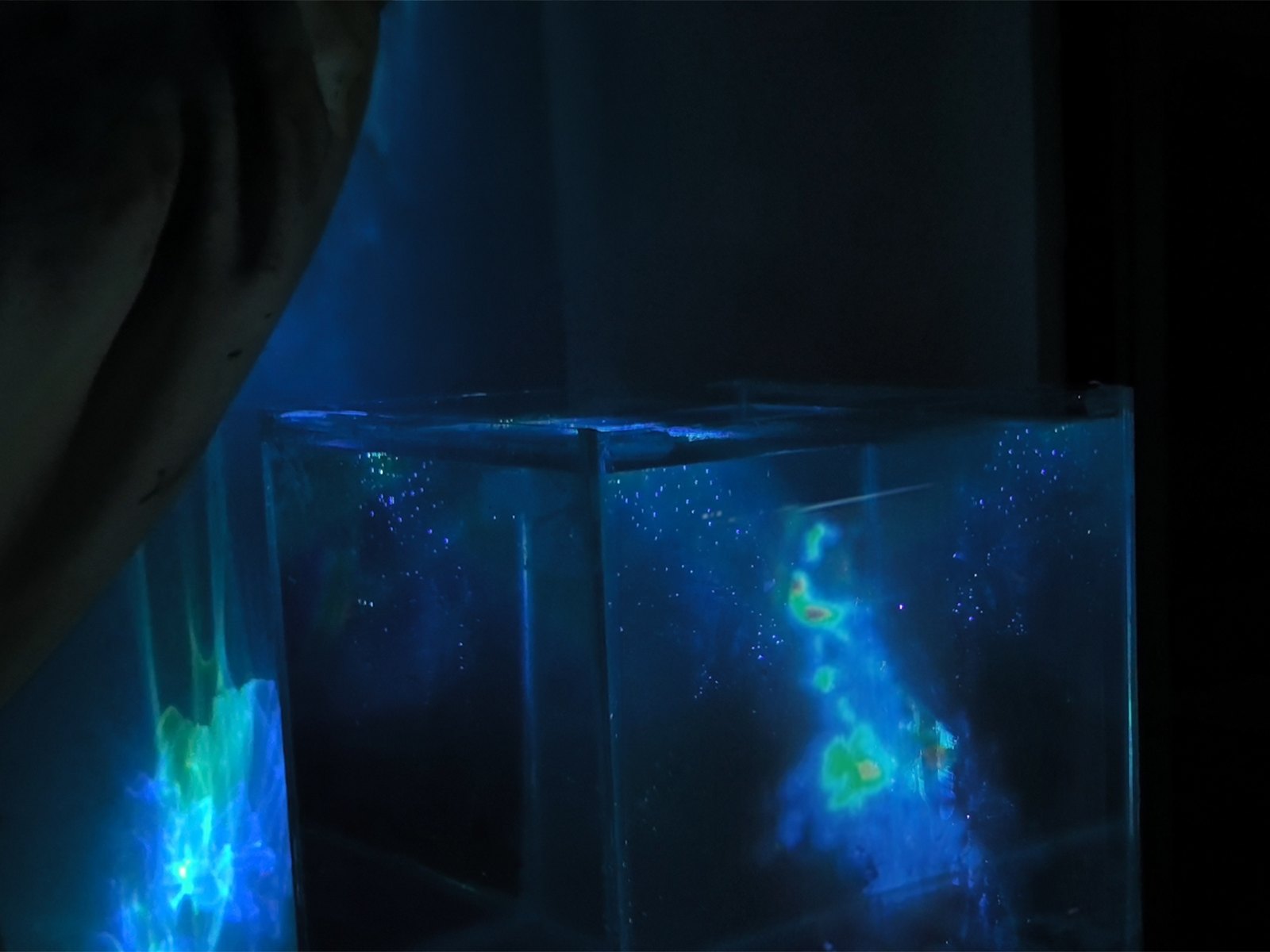 PLUME image 2