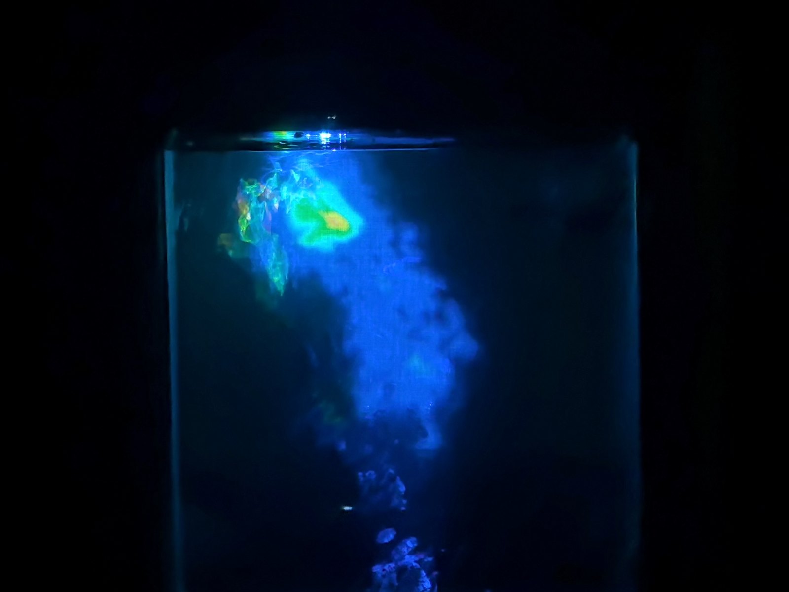 PLUME image 3