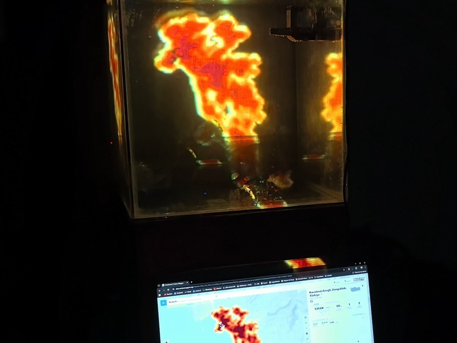 PLUME image 5