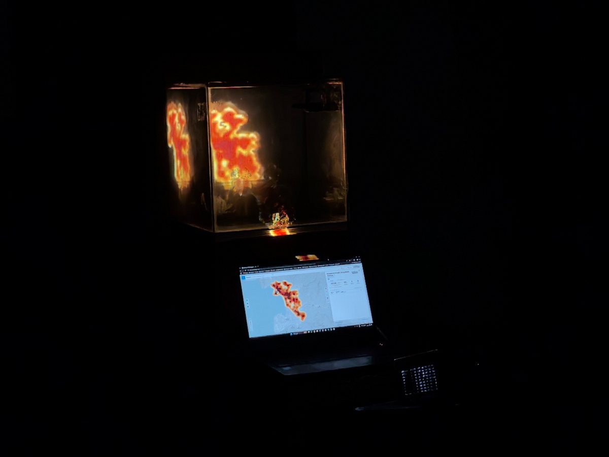 PLUME image 6
